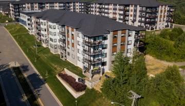 DJI_0017.jpg